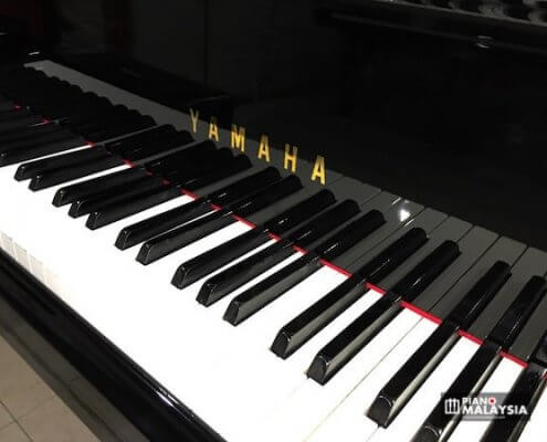 Yamaha G7 Semi-Concert Grand Piano